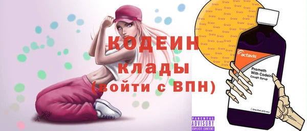 шишки Новодвинск