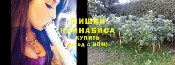 тгк Новокубанск