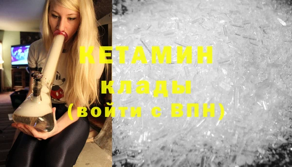шишки Новодвинск