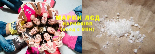 стафф Новозыбков