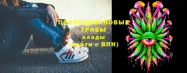 тгк Новокубанск