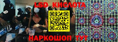 ПСИЛОЦИБИНОВЫЕ ГРИБЫ Гатчина