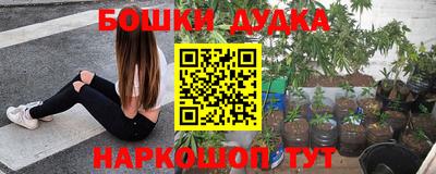 ПСИЛОЦИБИНОВЫЕ ГРИБЫ Гатчина