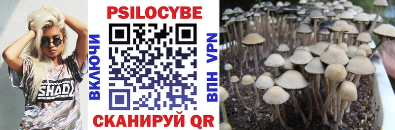 Галлюциногенные грибы Psilocybe  продажа наркотиков  Мичуринск 
