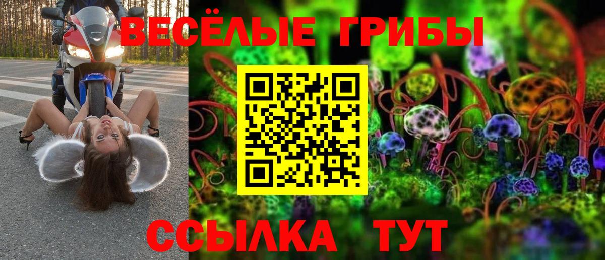 Псилоцибиновые грибы мухоморы Мичуринск