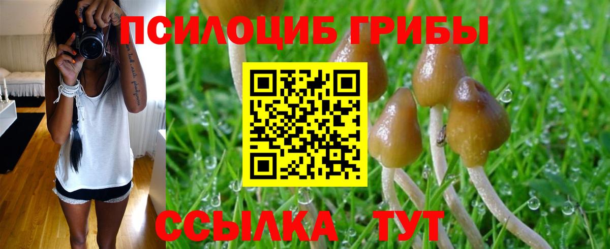 Мичуринск  Галлюциногенные грибы Psilocybe  Галлюциногенные грибы мухоморы  Вход с VPN 