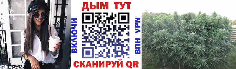 Конопля конопля  mega маркетплейс  Мичуринск 